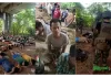 စစ်အုပ်စုသင်္ဘောပေါ်ကနေ KIA ဖမ်းမိတဲ့ စစ်သုံ့ပန်းတွေထဲ စစ်သား ၈၄ ယောက်၊ စစ်မှုမထမ်းမနေရအမိန့်နဲ့ စုဆောင်းခံရသူ ၃၄ ယောက်ပါဝင်