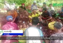 မြစ်ကြီးနားသတင်းဂျာနယ်၏ အပတ်စဉ် TV အစီအစဉ်တင်ဆက်မှု။ (ကချင် – ဂျိန်းဖော့) စက်တင်ဘာလ (၃၀) ရက်။