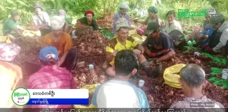 မြစ်ကြီးနားသတင်းဂျာနယ်၏ အပတ်စဉ် TV အစီအစဉ်တင်ဆက်မှု။ (ကချင် – ဂျိန်းဖော့) စက်တင်ဘာလ (၃၀) ရက်။