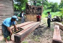 အာဏာသိမ်းပြီးတဲ့နောက် တရုတ်ကိုကျွန်းသစ်တင်ပို့မှု ၂ ဆကနေ ၃ ဆနီးပါးထိမြင့်တက်