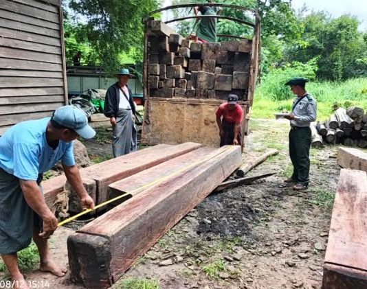 အာဏာသိမ်းပြီးတဲ့နောက် တရုတ်ကိုကျွန်းသစ်တင်ပို့မှု ၂ ဆကနေ ၃ ဆနီးပါးထိမြင့်တက်